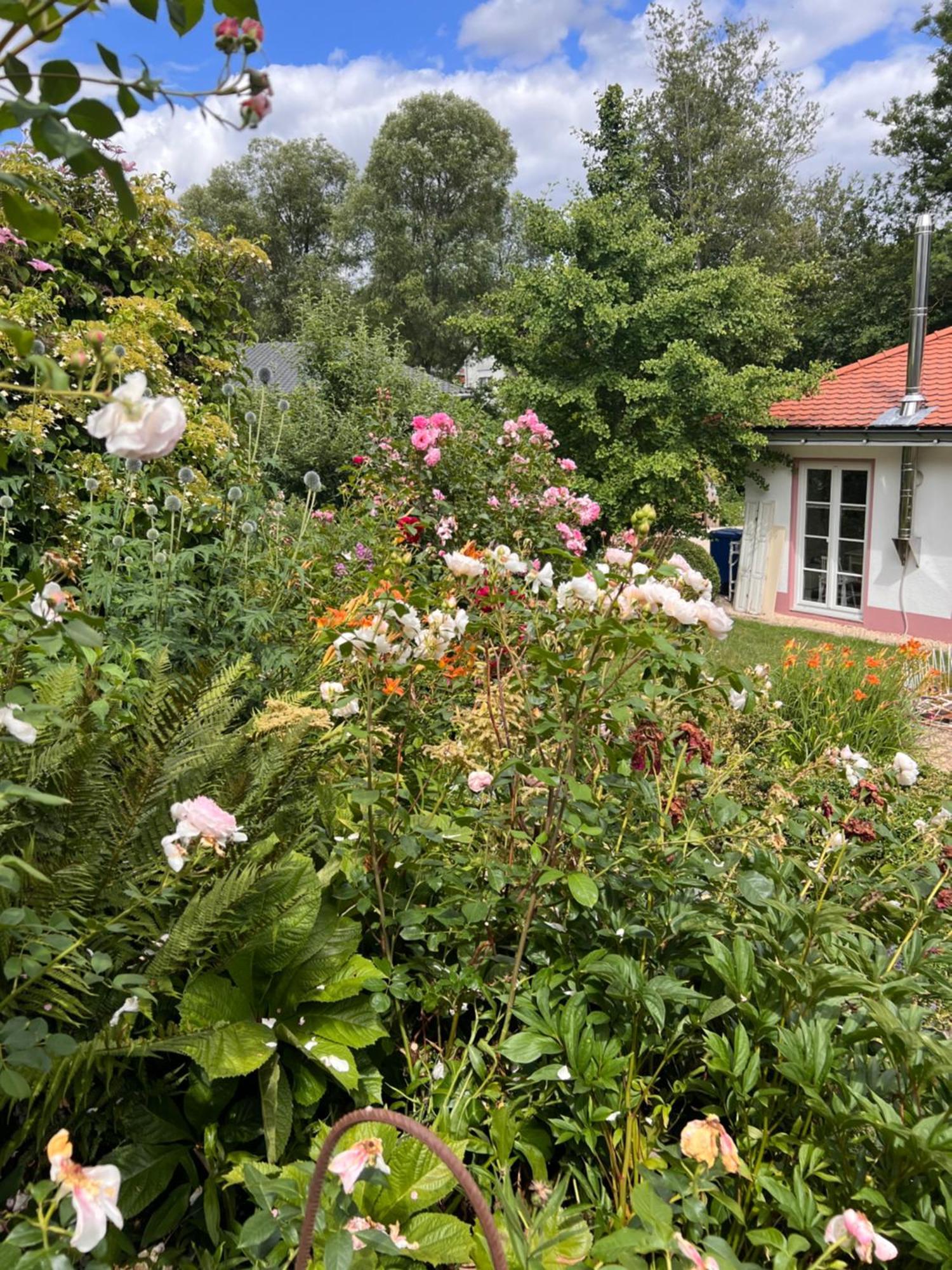 B&B Rosenliebe Niedereschach Kültér fotó